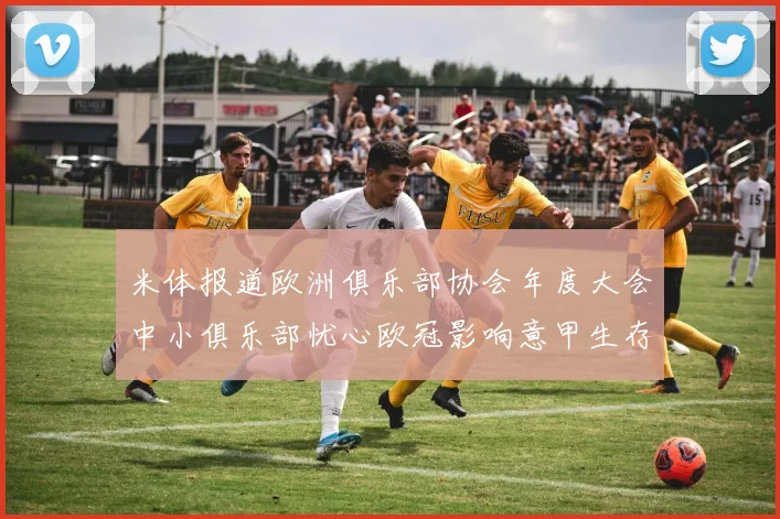 米体报道欧洲俱乐部协会年度大会中小俱乐部忧心欧冠影响意甲生存