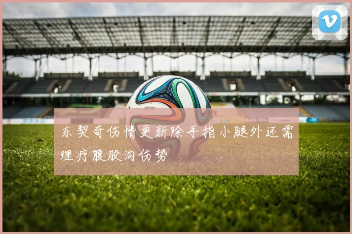 东契奇伤情更新除手指小腿外还需理疗腹股沟伤势
