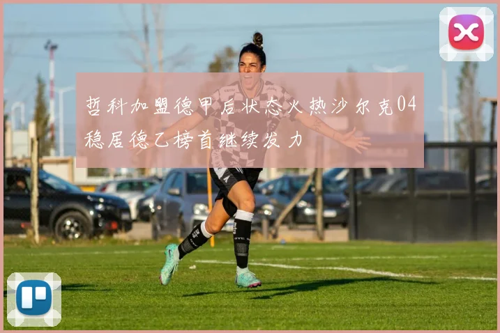 哲科加盟德甲后状态火热沙尔克04稳居德乙榜首继续发力