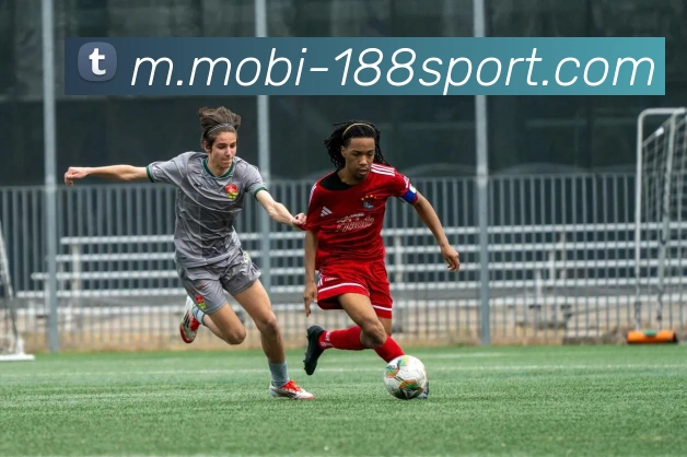 188体育平台生态图