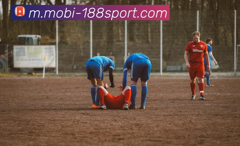 188体育APP 封面图